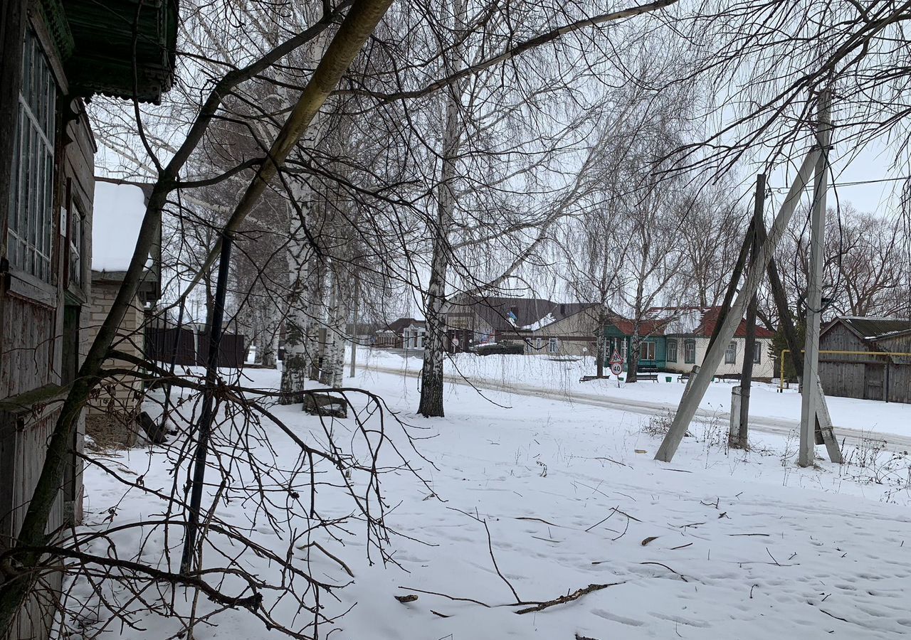 дом р-н Ардатовский с Баево ул Советская 6 Баевское сельское поселение, Тургенево фото 4