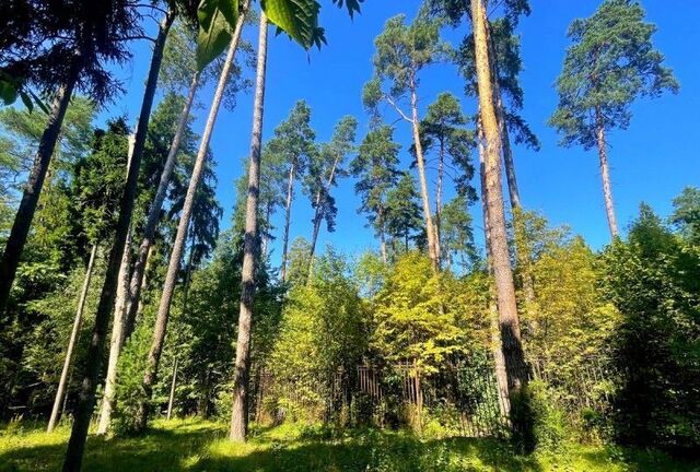 земля п Николина Гора 21 км, коттеджный посёлок Никологорское, Красногорск, Ильинское шоссе фото