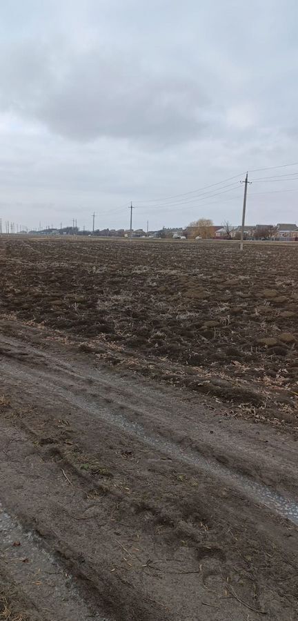 земля р-н Славянский х Бараниковский Протокское сельское поселение, Петровская фото 6