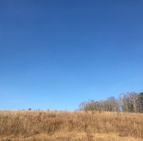 земля д Мужичкино Емельяново городское поселение фото