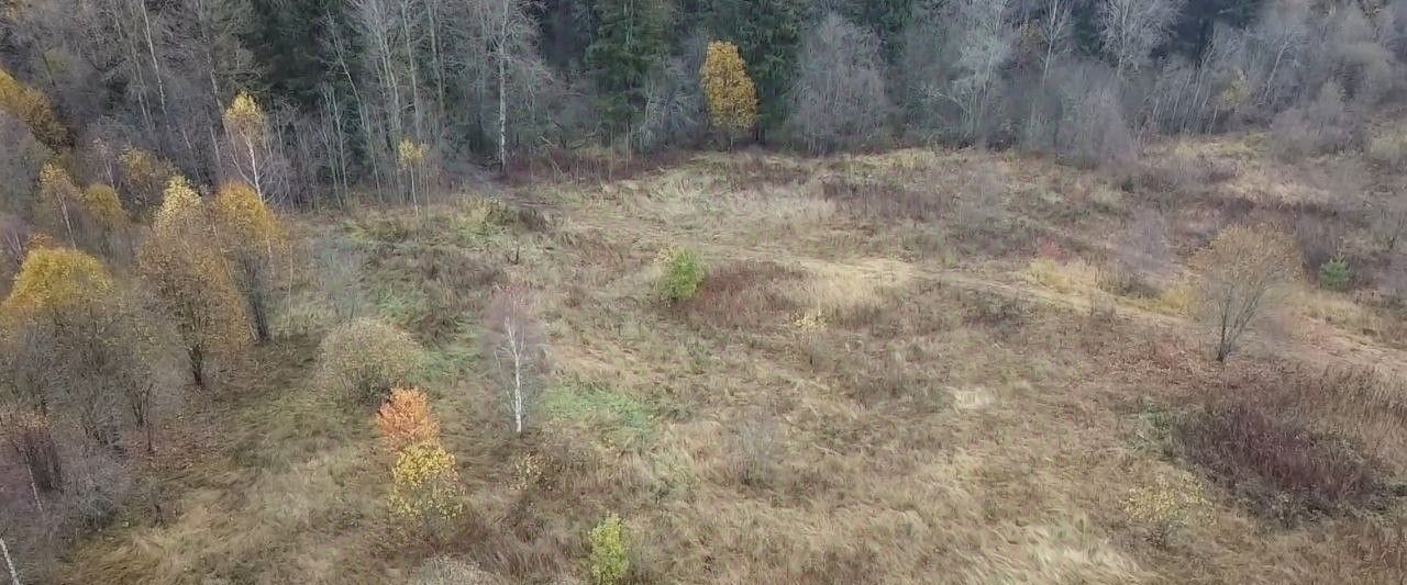 земля городской округ Волоколамский д Чернево фото 1