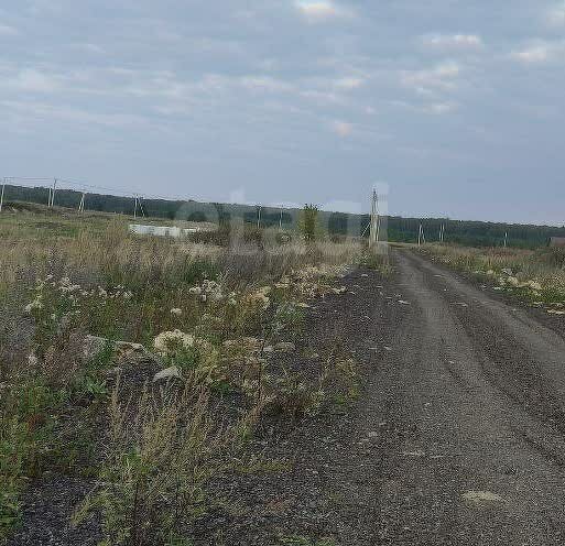 земля р-н Аргаяшский д Бажикаева Норкинское сельское поселение фото 1