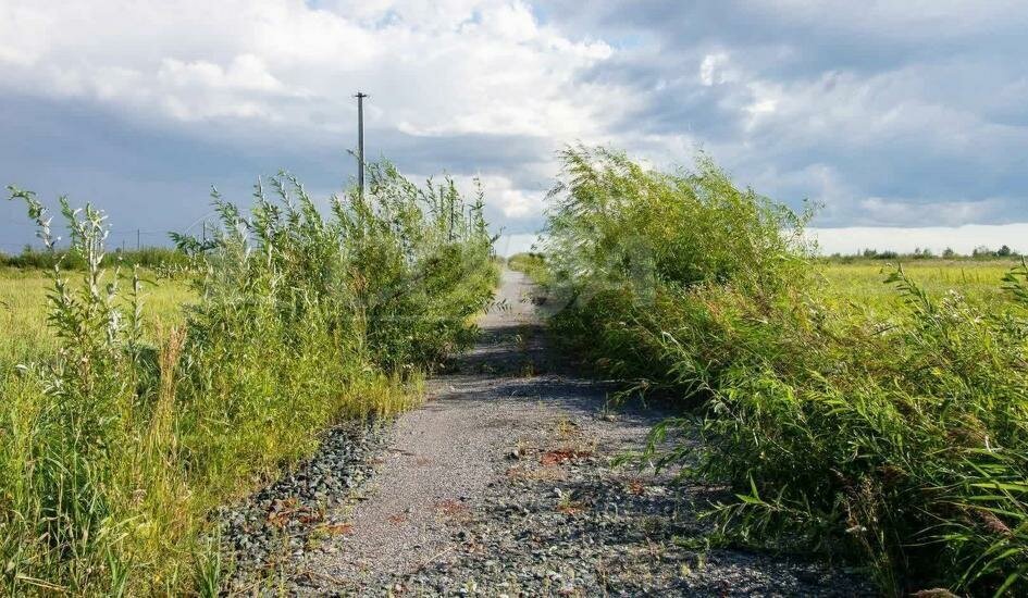 земля г Тюмень товарищество собственников недвижимости Большое Царёво-1 фото 1