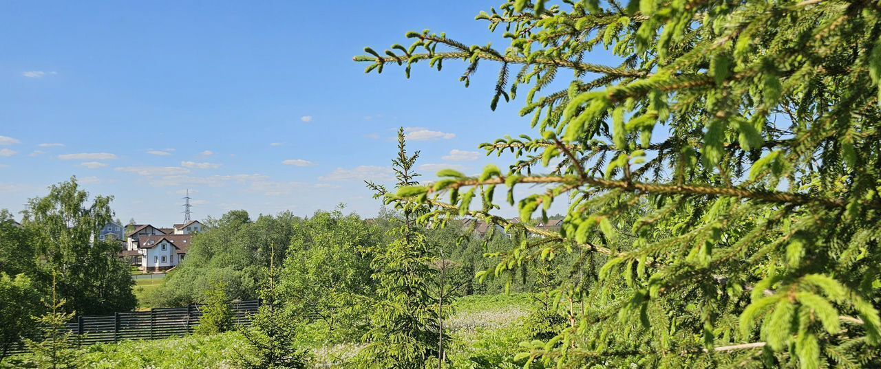 земля городской округ Истра д Карасино 54 км, Глебовский, Волоколамское шоссе фото 2