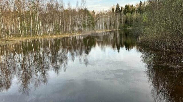 тер. СПК Малинки ТиНАО Филатов Луг, Филимонковский район фото