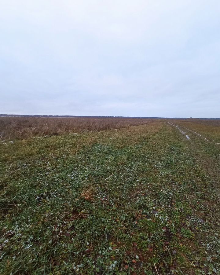 земля р-н Костромской с Петрилово ул Сухоноговская Шунгенское сельское поселение, Кострома фото 2