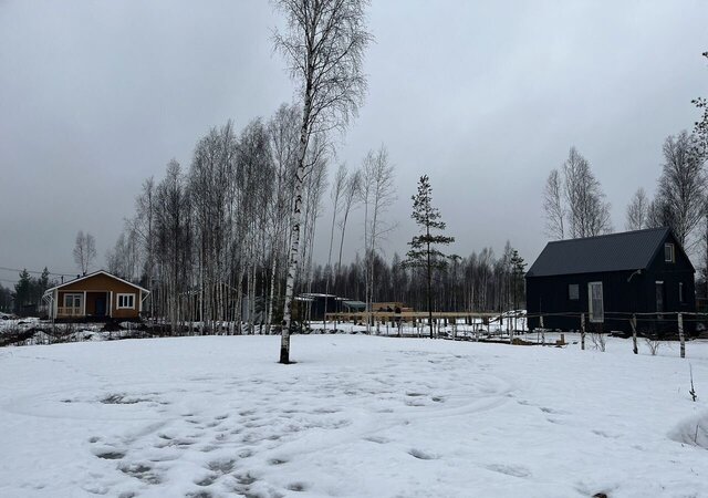 земля г Всеволожск ул Северная Мурманское шоссе, 12 км, Всеволожское городское поселение, садоводческое некоммерческое товарищество Родничковое фото