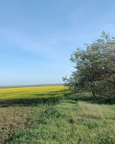 р-н Черноморский пгт Черноморское Межводненское сельское поселение фото