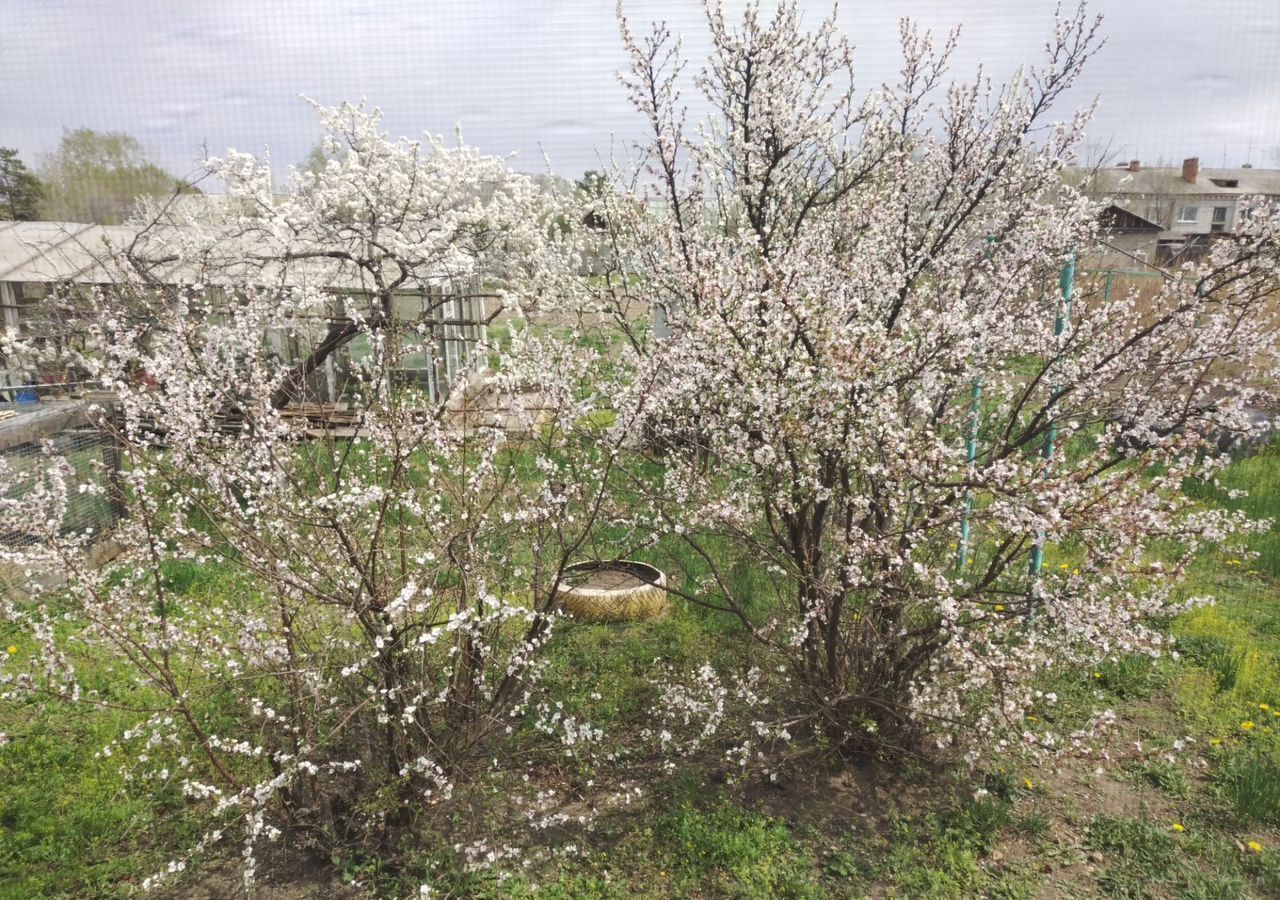 дом р-н Благовещенский с Волково пер Школьный Благовещенск фото 15