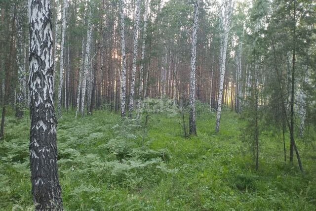 Екатеринбург городской округ, Чкаловский фото