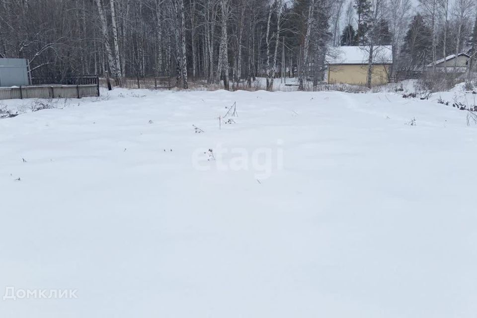 земля г Екатеринбург Екатеринбург городской округ, Полеводство фото 1