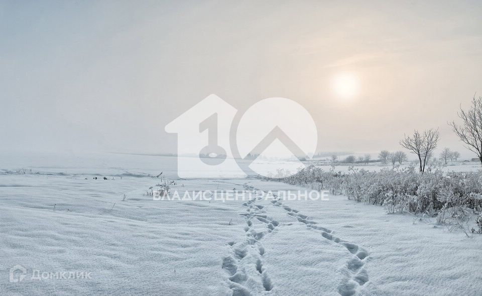 земля р-н Новосибирский фото 2