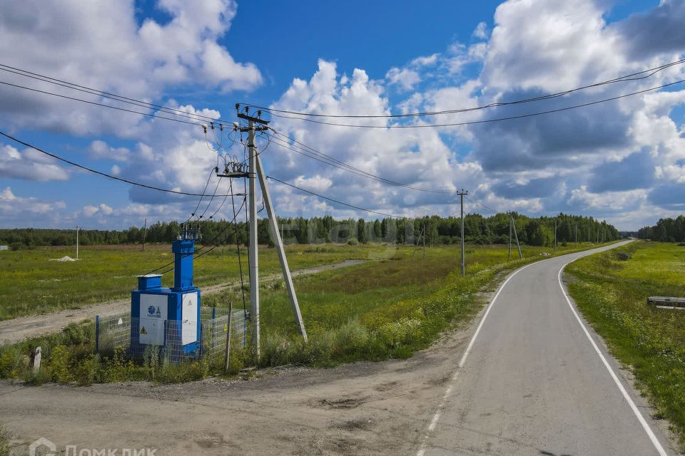 земля г Тюмень Тюмень городской округ, СНТ Облепиховое фото 5