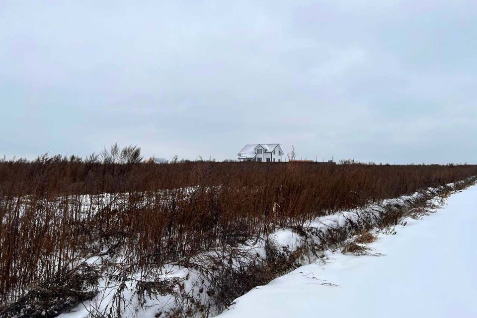 земля городской округ Домодедово д. Барыбино фото 9