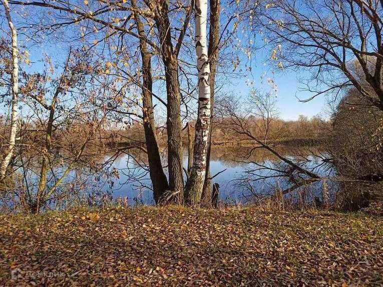 квартира р-н Кораблинский д Залесно-Чулково ул Ленинская 3 фото 7