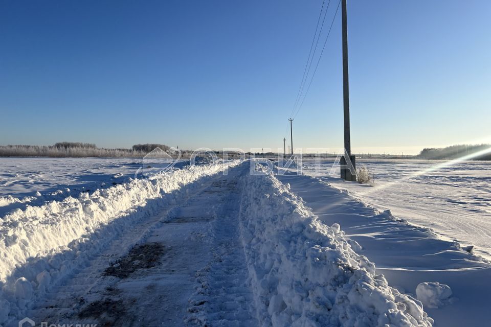 земля р-н Тюменский с Горьковка Совхозная фото 4