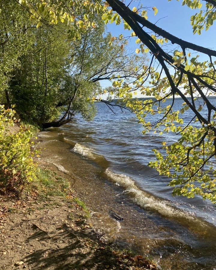 земля городской округ Пушкинский 18 км, коттеджный пос. Лиса, Пушкино, Ярославское шоссе фото 10