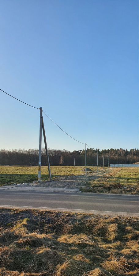 земля р-н Зеленоградский п Богатое Светлогорск, Зеленоградский муниципальный округ фото 2