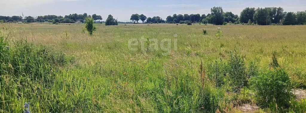 земля р-н Гурьевский п Малинники фото 3