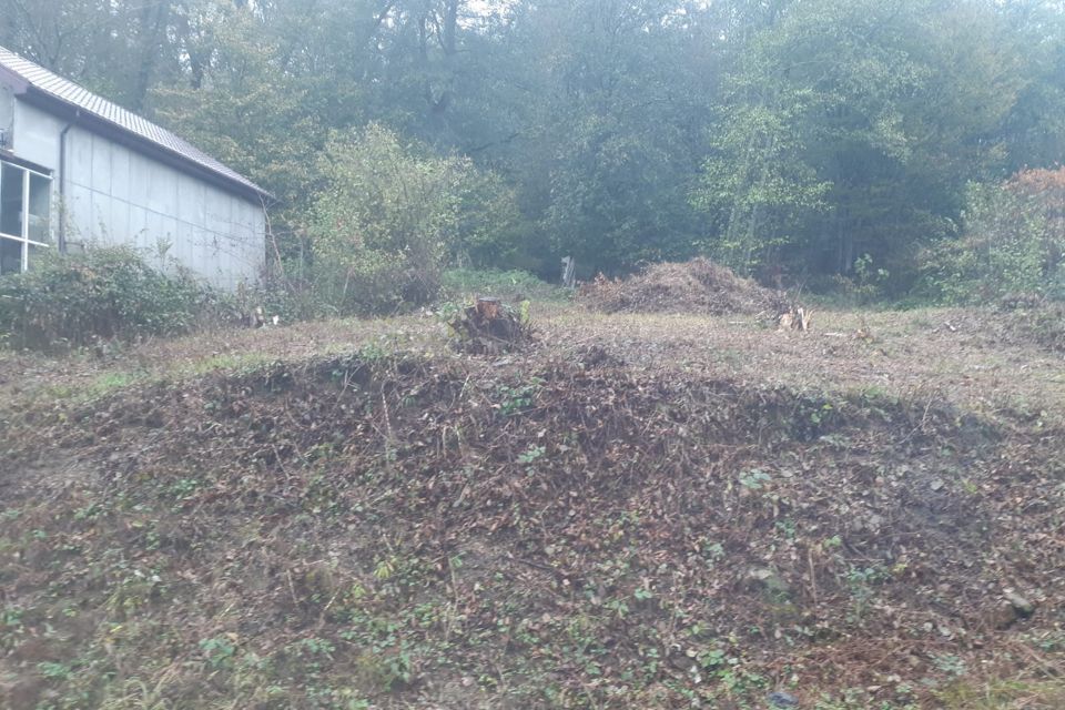 земля г Сочи с Верхнениколаевское городской округ Сочи, садоводческое товарищество Знание фото 6