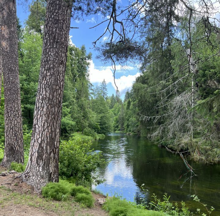 земля р-н Гатчинский Сиверский городской поселок, ул. Николая Чикера фото 5