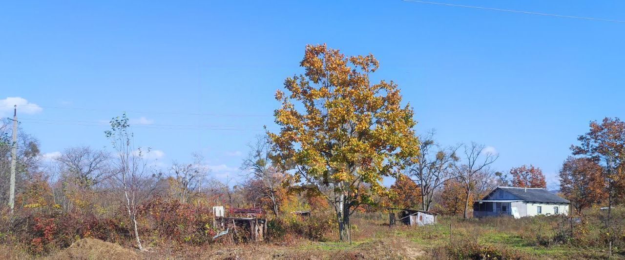 земля р-н Надеждинский с Кипарисово ул Железнодорожная фото 6