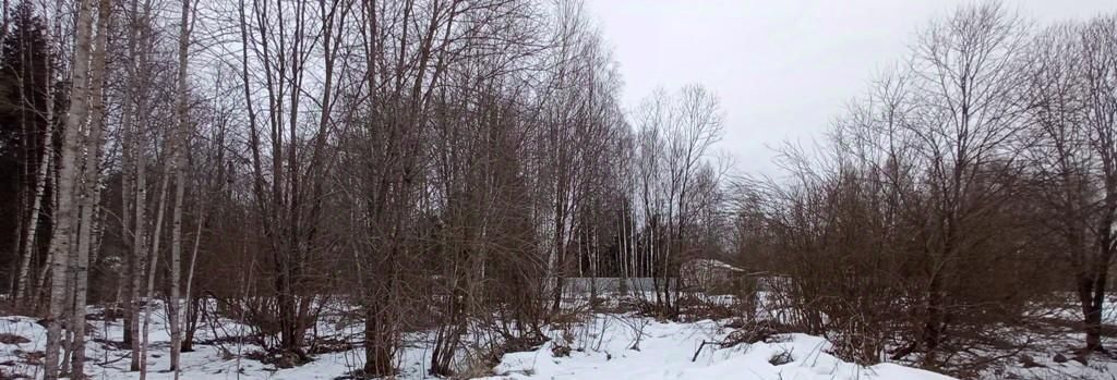 земля городской округ Волоколамский Сославино СТ, 18 фото 8