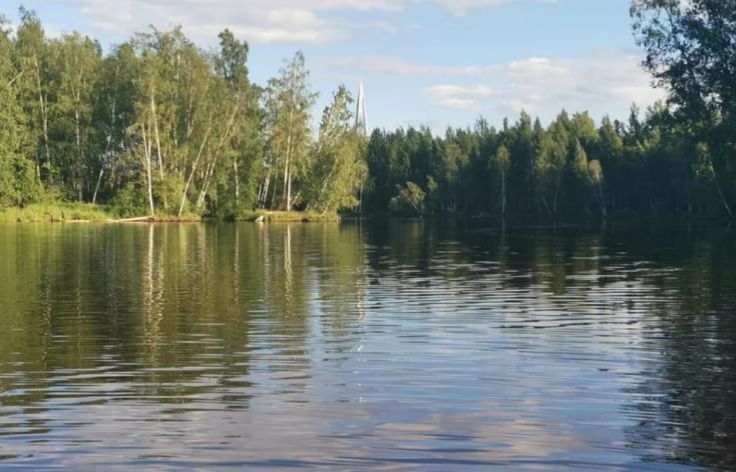 квартира г Санкт-Петербург р-н Приморский пр-кт Юнтоловский 53к/3 фото 26
