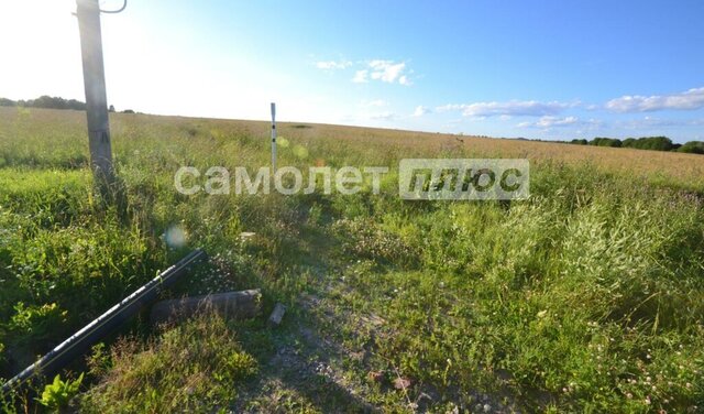 земля п Тоншалово ул Весенняя фото