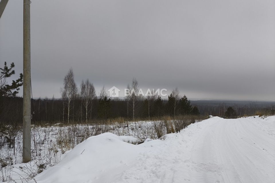 земля р-н Кстовский д. Студенец фото 2