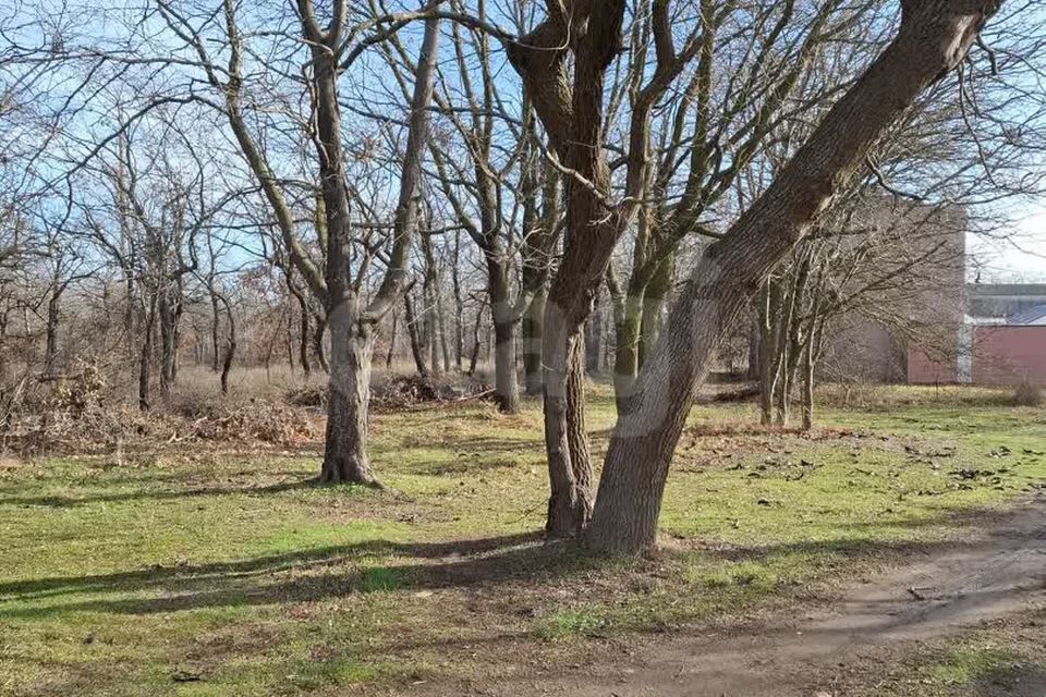 дом Саки городской округ, СПК Весна, улица Лесная фото 6