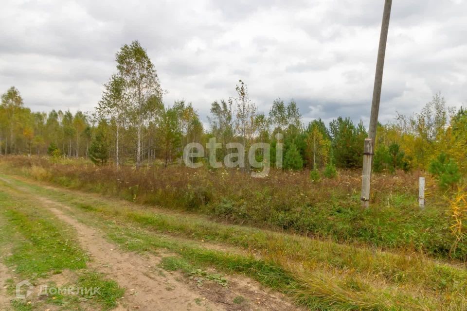 земля р-н Нижнетавдинский д Московка 4-я линия фото 9