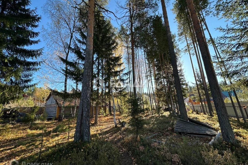 земля г Сыктывкар пгт Верхняя Максаковка ул Большая Сыктывкар городской округ фото 4