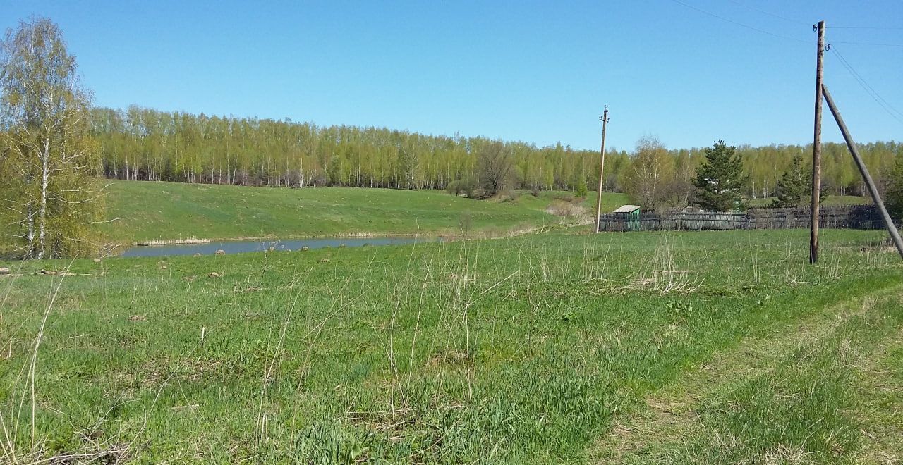 земля городской округ Зарайск д Нижнее Плуталово 122 км, Зарайск, Новорязанское шоссе фото 5