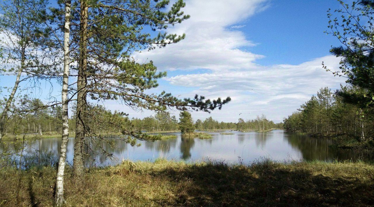 дом р-н Всеволожский п Рахья Рахьинское городское поселение фото 36