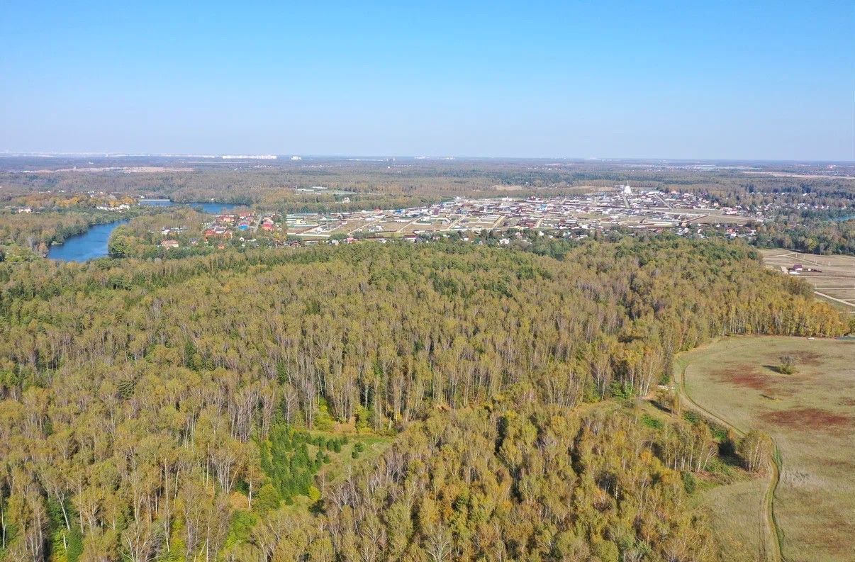 земля городской округ Домодедово 25 км, 4, д. Пушкино, Новокаширское шоссе фото 5