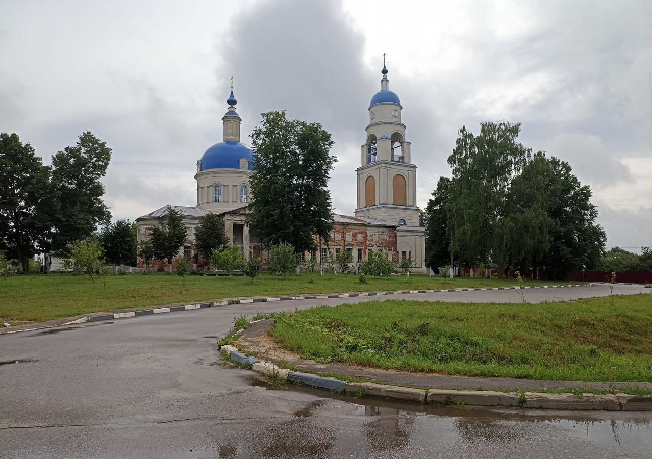 земля городской округ Егорьевск с Раменки 99 км, Луховицы, Новорязанское шоссе фото 9