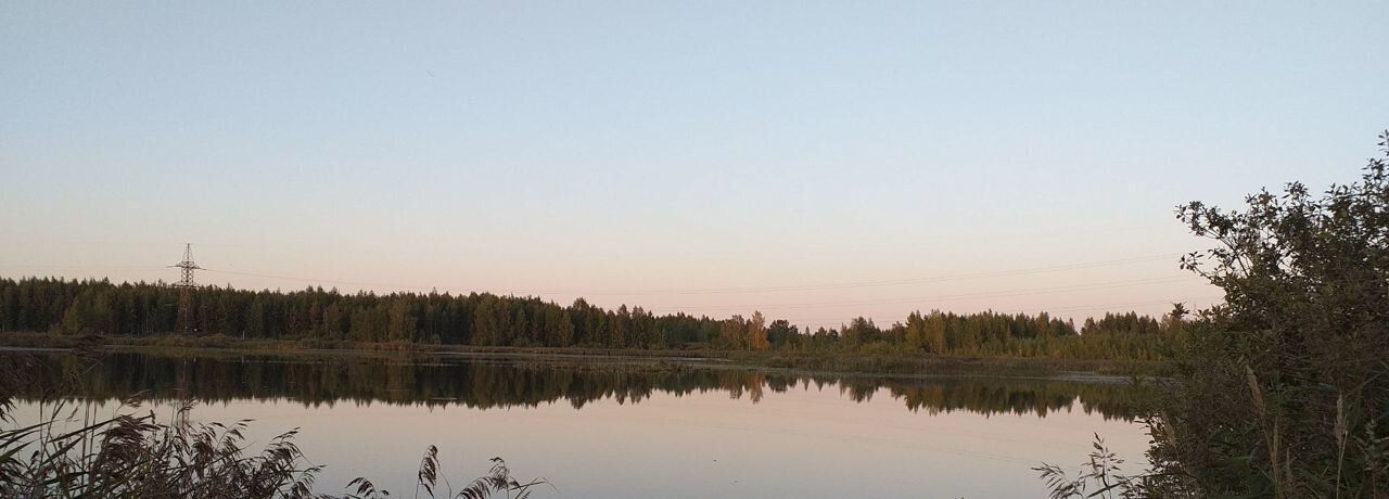 земля р-н Ярославский днп тер.Синее озеро Заволжское с/пос фото 7