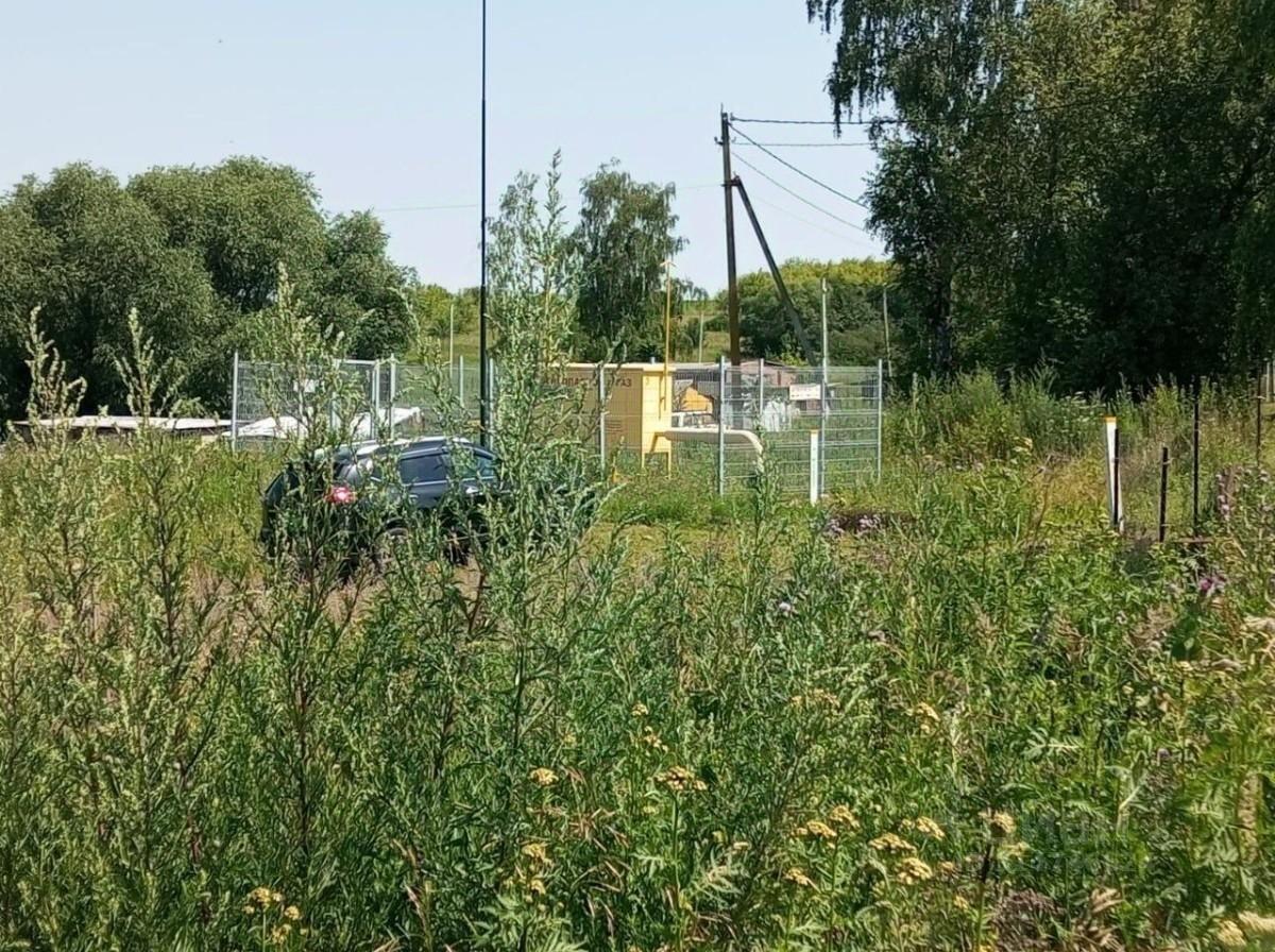 земля городской округ Серебряные Пруды п Дмитриевский с 2, Серебряные Пруды фото 6