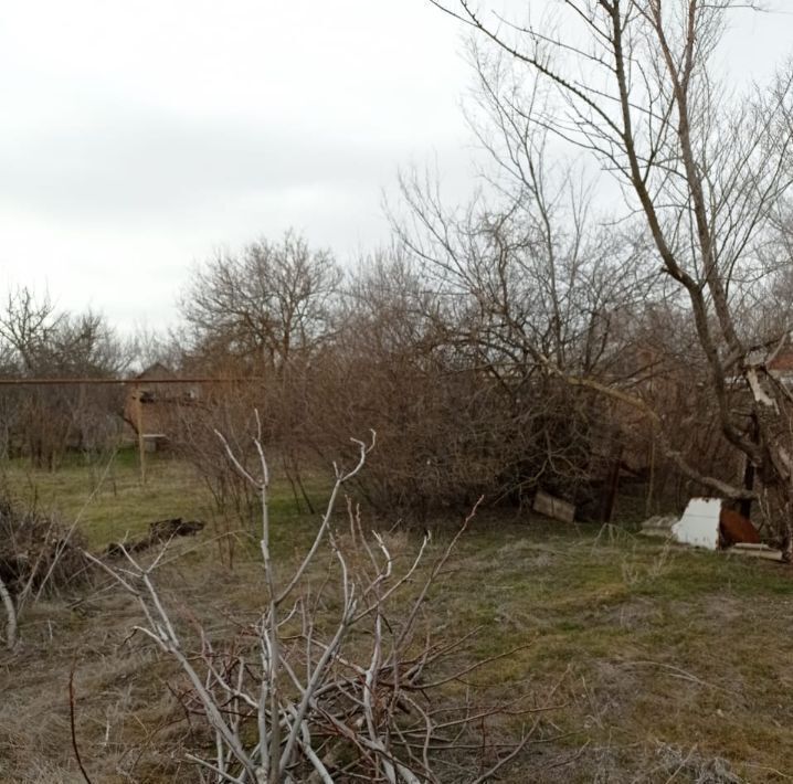 земля р-н Сальский г Сальск Кучур-да ул Чайковского Сальское городское поселение фото 7