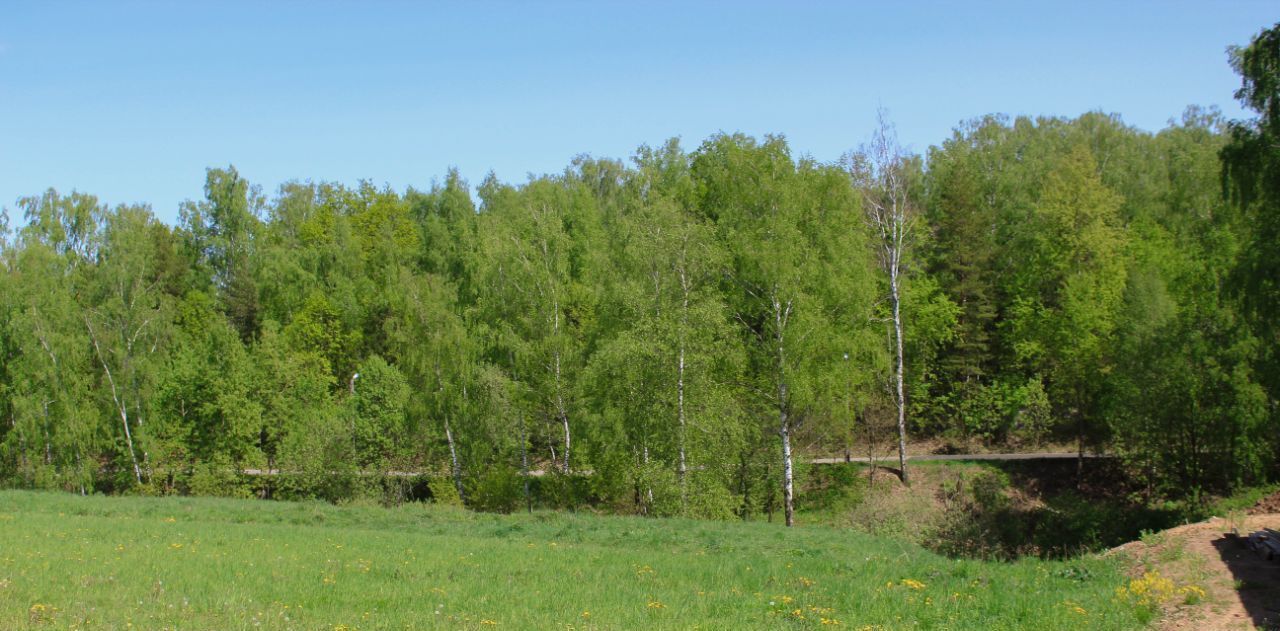 земля г Домодедово д Минаево Карамель кп, ул. Ангельская фото 2