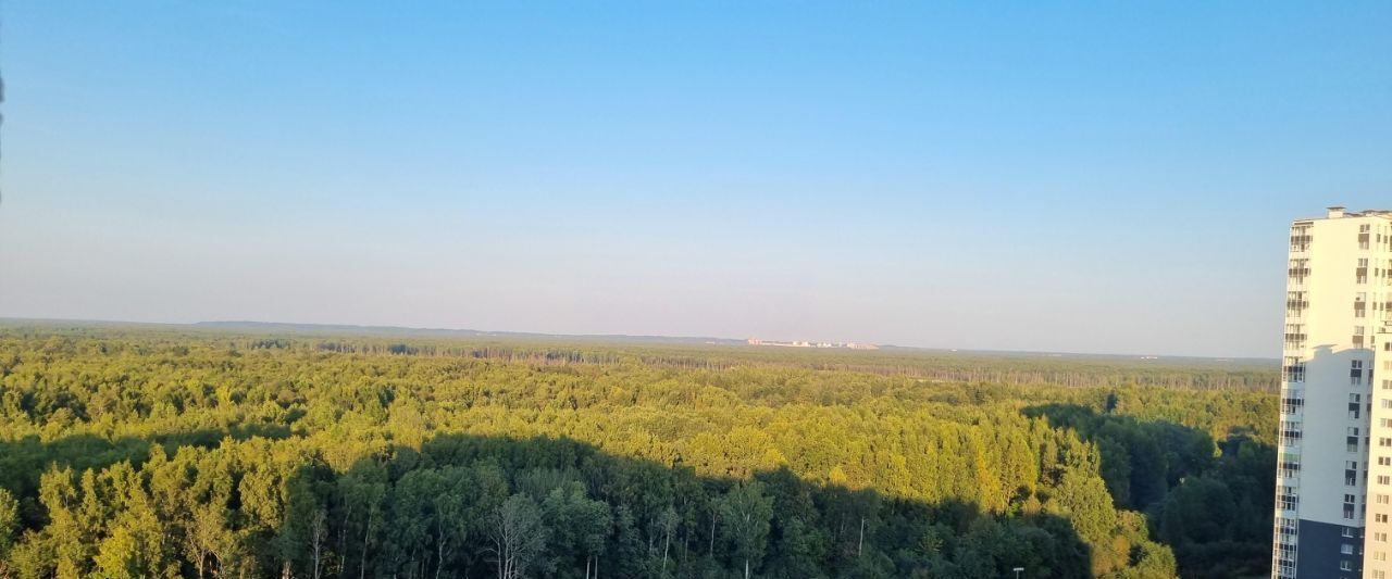 квартира г Санкт-Петербург метро Гражданский Проспект ул Пейзажная 24к/3 фото 5