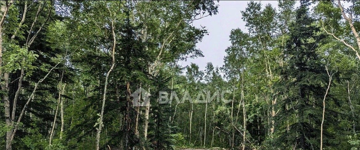 офис г Южно-Сахалинск кв-л Весточка Анивский городской округ фото 1
