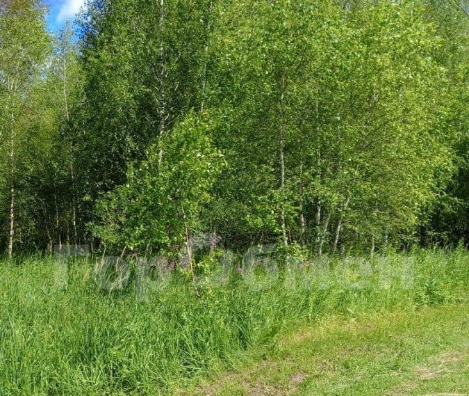 земля городской округ Луховицы д Золотухино снт Восток-2 садоводческое товарищество фото 6