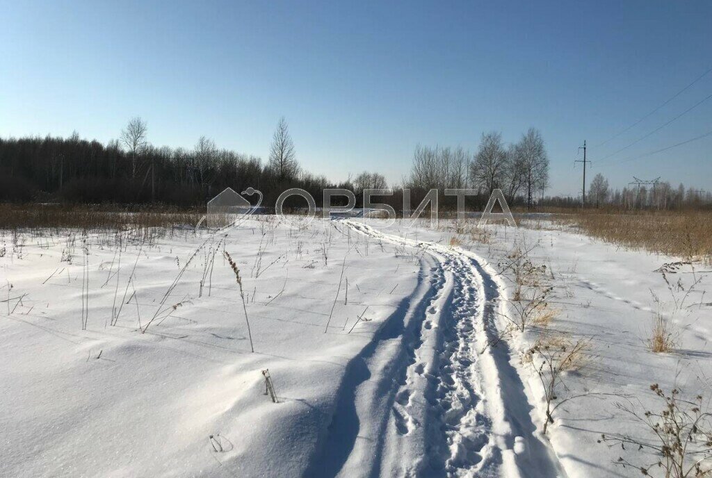 земля р-н Тюменский с Борки фото 1