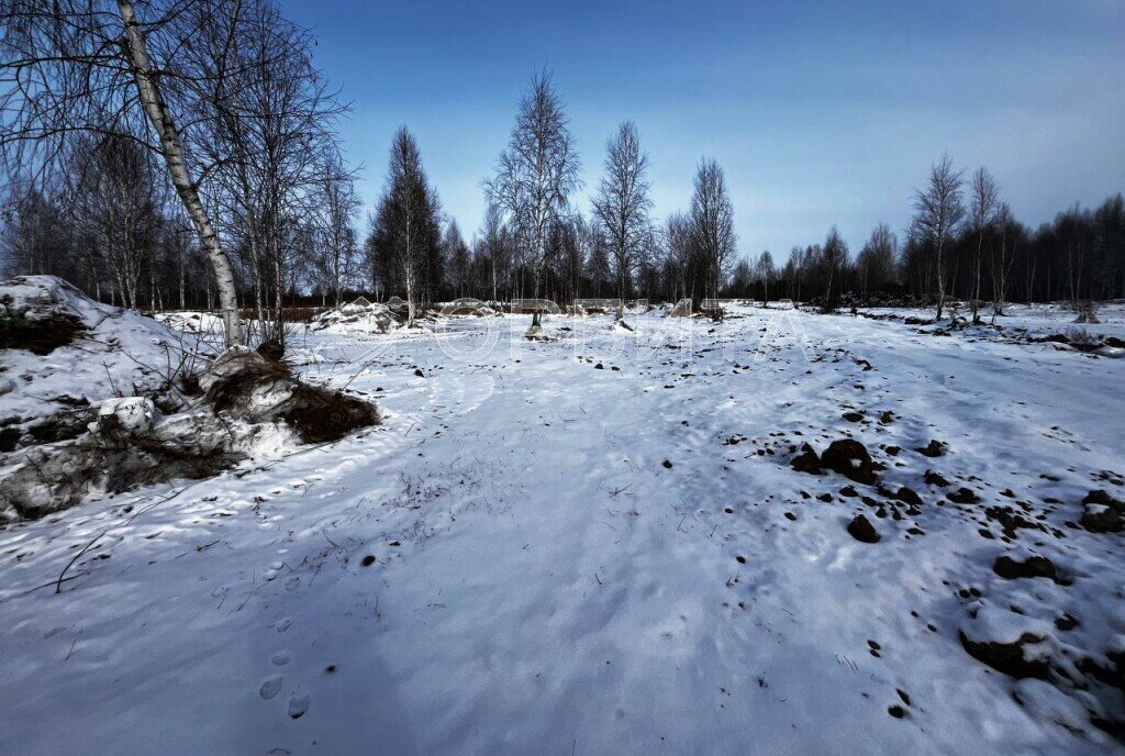 земля г Тюмень снт Яровское фото 6