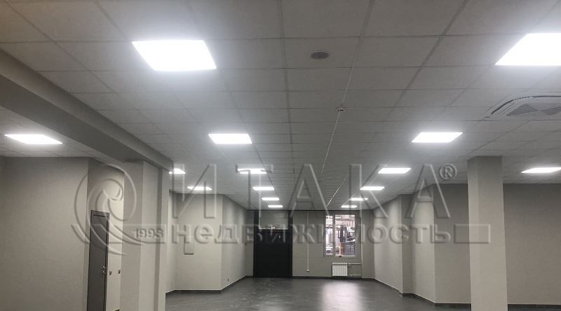 свободного назначения г Санкт-Петербург метро Парнас ул Домостроительная 16 фото 3
