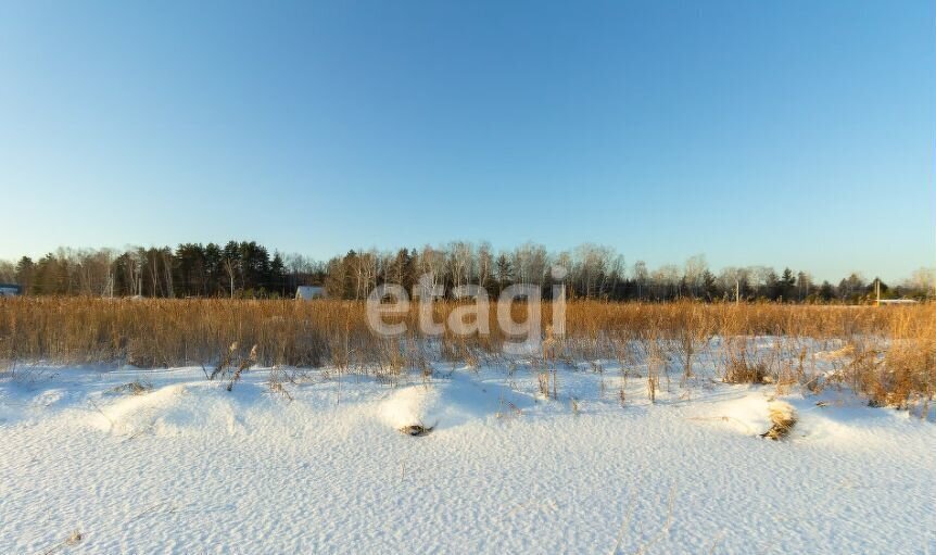 земля р-н Тюменский с Каменка Тюмень фото 4