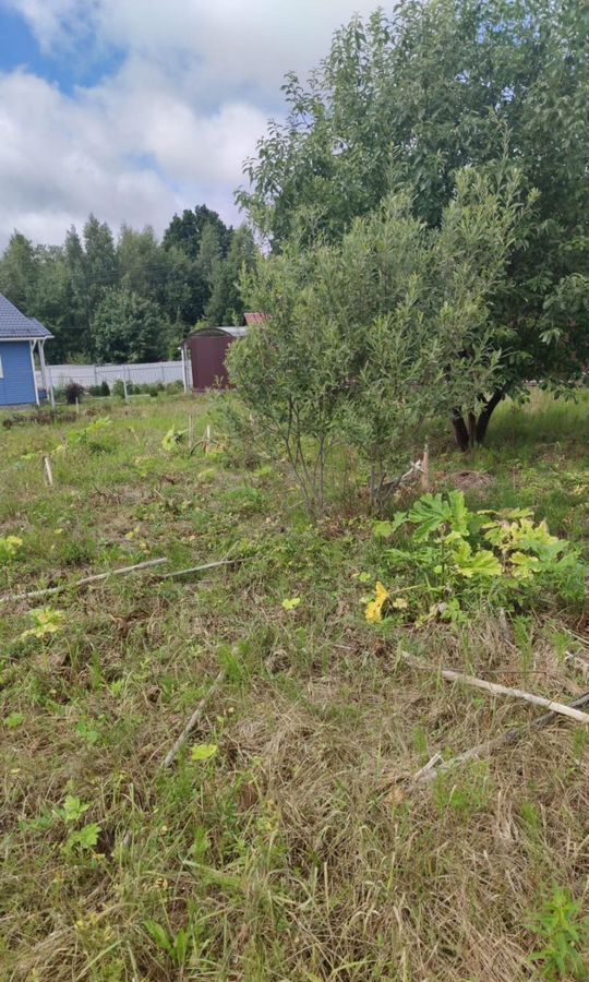 земля городской округ Истра п Глебовский 50 км, некоммерческое партнерство Эдельвейс, г. о. Истра, дачное, Волоколамское шоссе фото 7