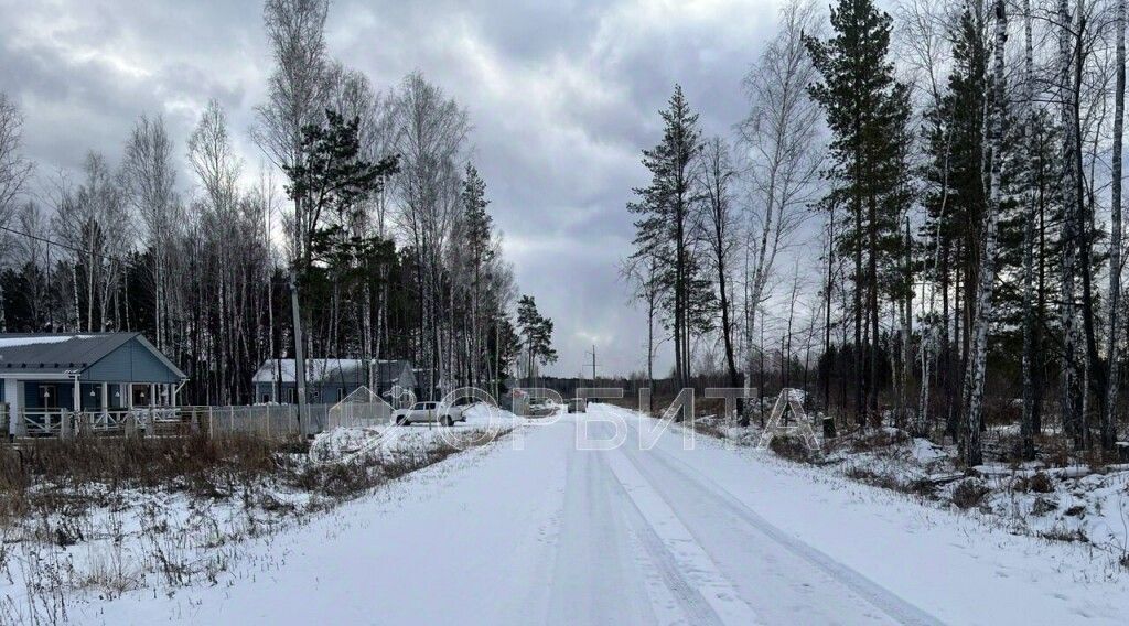 земля р-н Нижнетавдинский с Тюнево ул Уральская фото 1